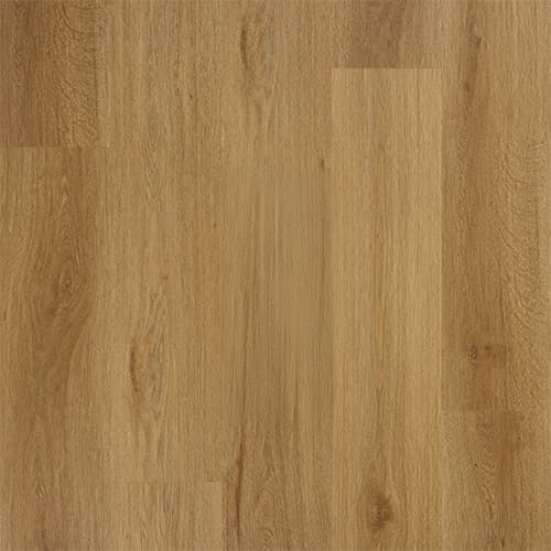 Plank
