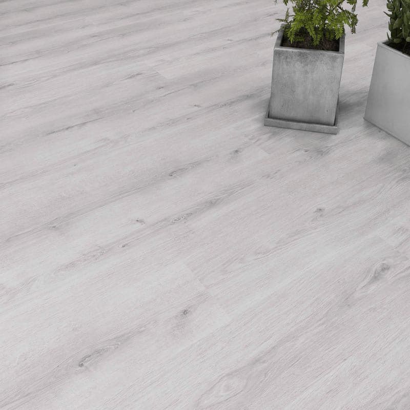 Elegance Plus Plank, Fog